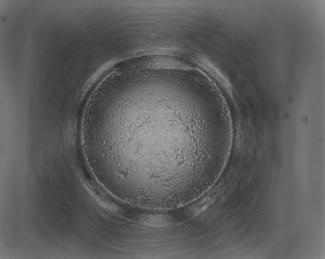X0000081320107200701111343