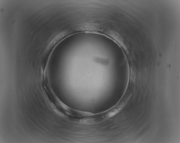 X0000081320109200701111343