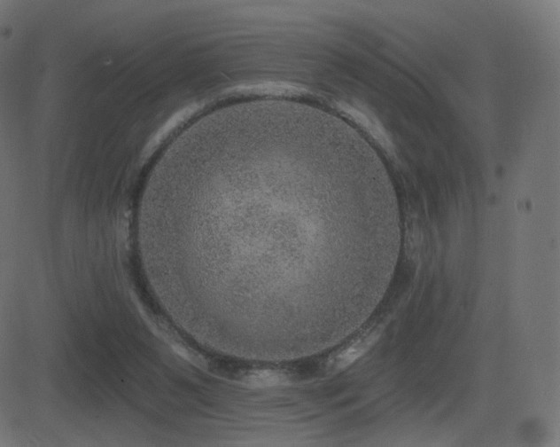 X0000081320111200701111343