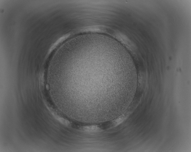 X0000081320112200701111343