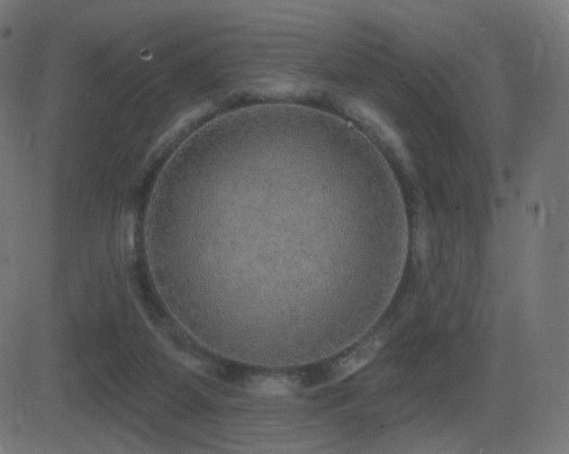 X0000081320115200701111343