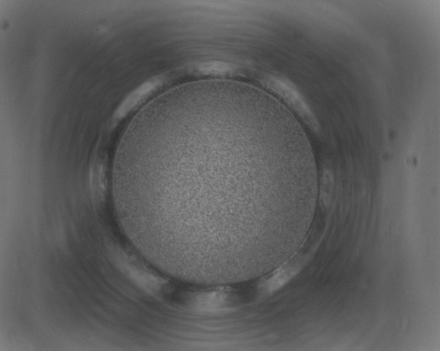 X0000081320116200701111343