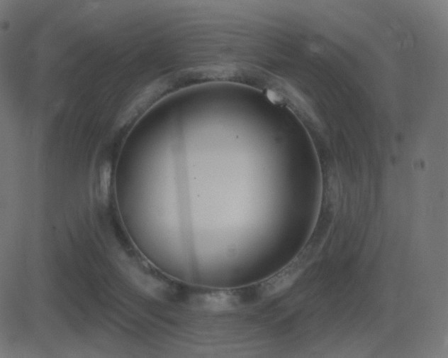 X0000081320118200701111343