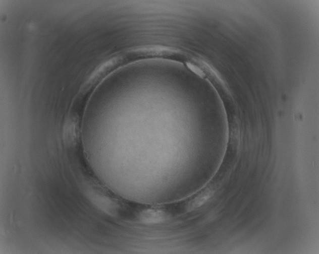 X0000081320119200701111343