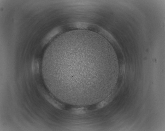 X0000081320120200701111343