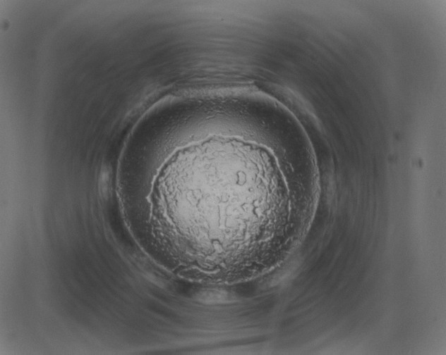 X0000081320123200701111343