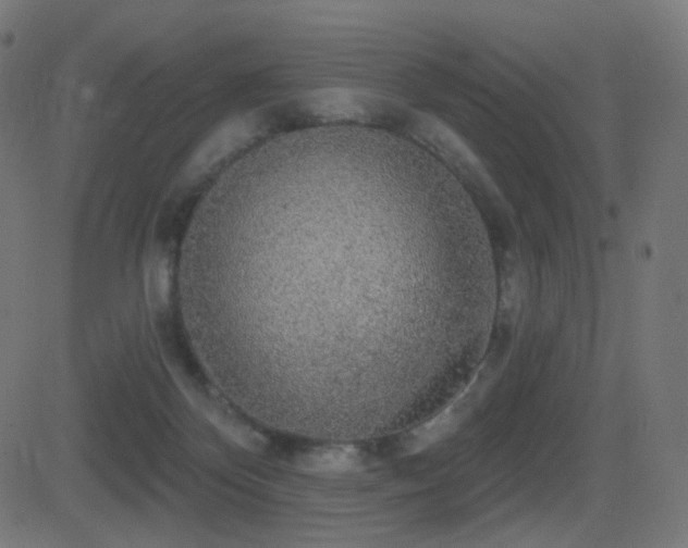X0000081320124200701111343