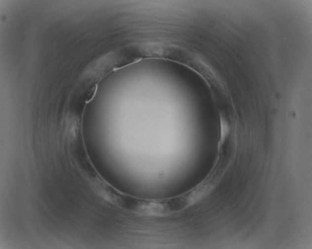 X0000081320125200701111343