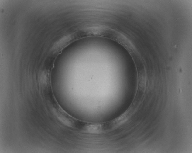 X0000081320126200701111343