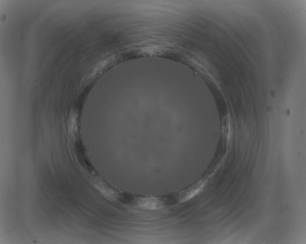 X0000081320127200701111343