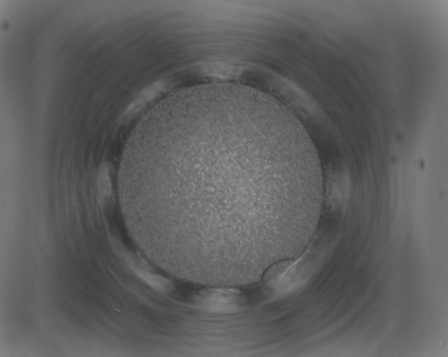 X0000081320128200701111343