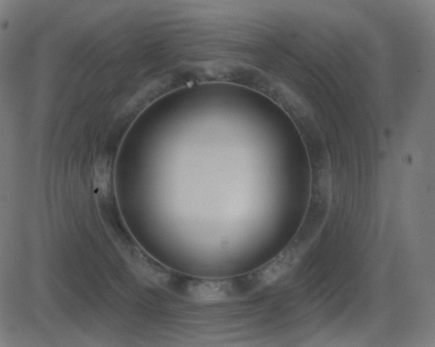 X0000081320129200701111343