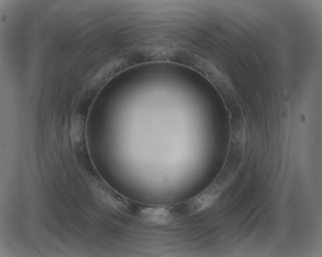 X0000081320133200701111343