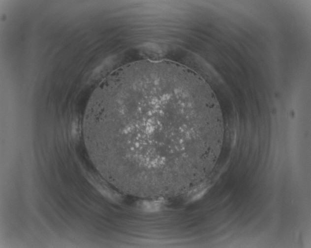 X0000081320134200701111343