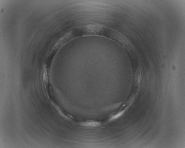 X0000081320137200701111343