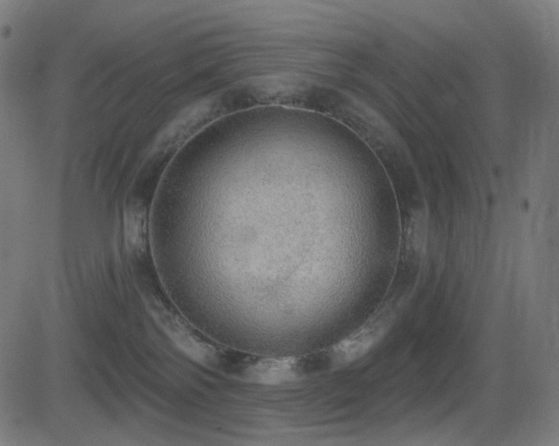 X0000081320138200701111343