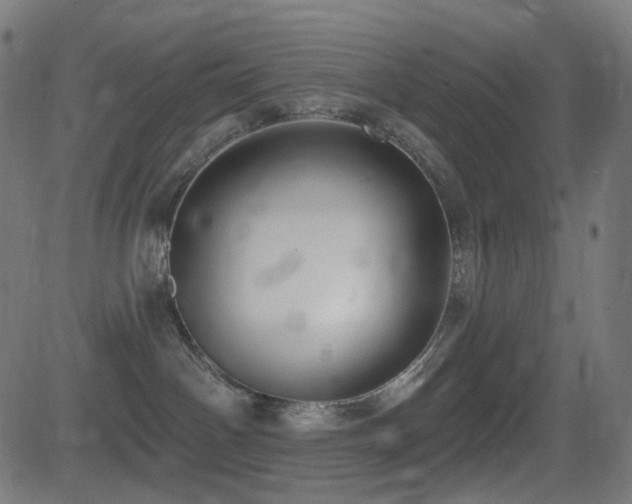 X0000081320142200701111343
