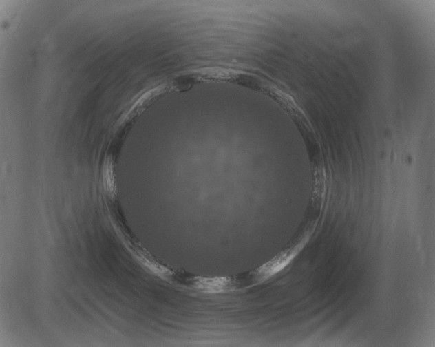 X0000081320143200701111343