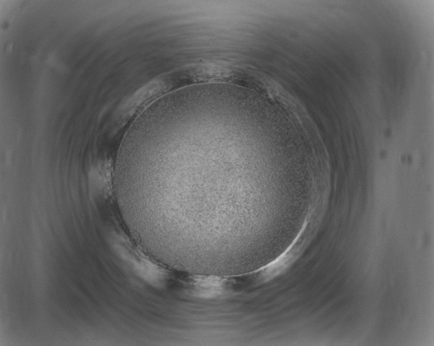 X0000081320144200701111343