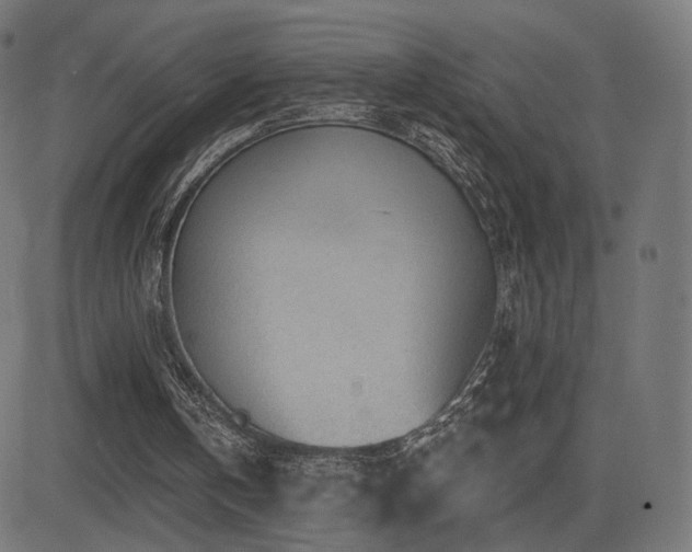 X0000081320146200701111342
