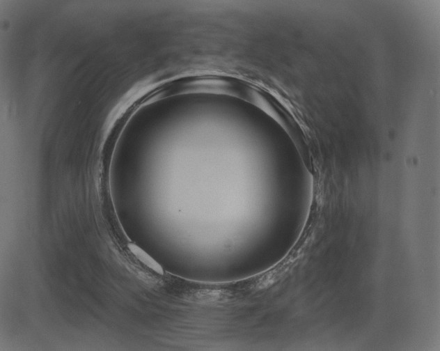 X0000081320152200701111342
