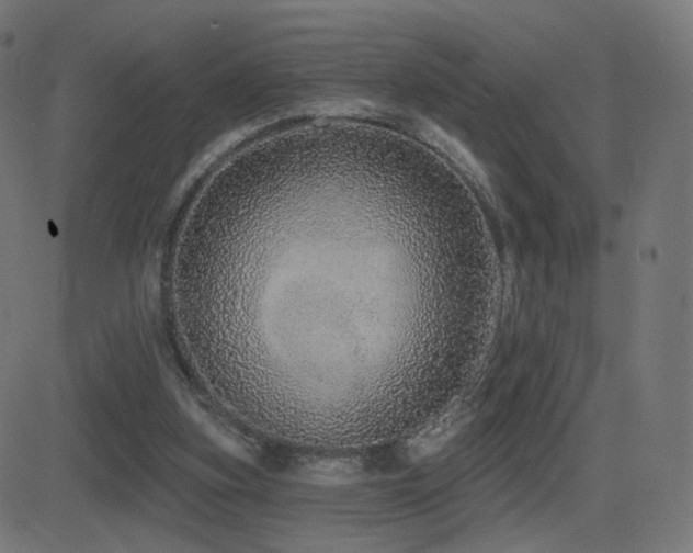 X0000081320155200701111342