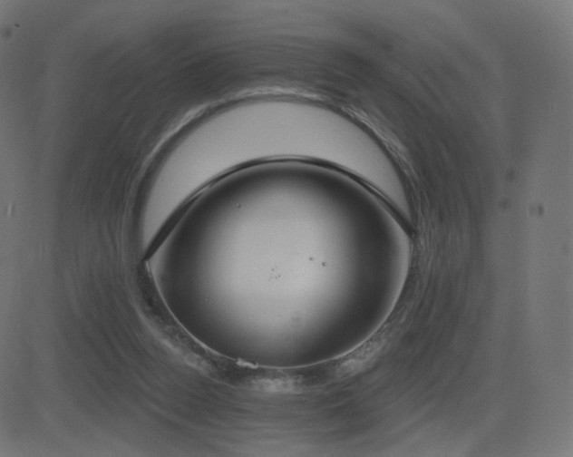 X0000081320160200701111342