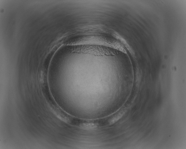 X0000081320161200701111342