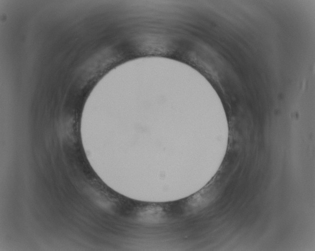 X0000081320162200701111342
