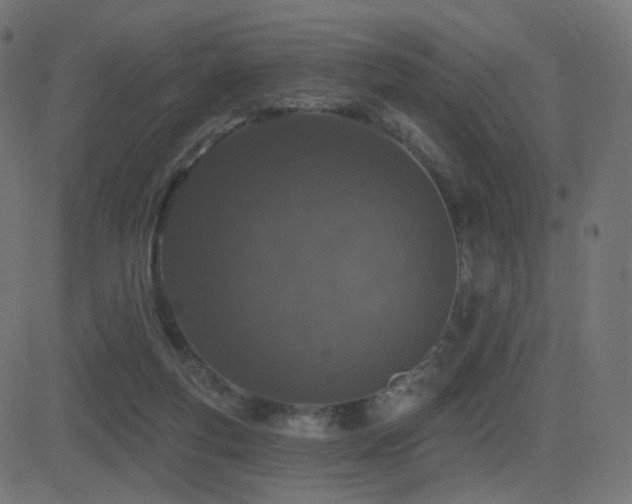 X0000081320163200701111342