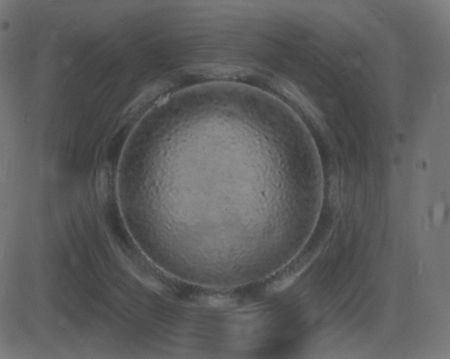 X0000081320165200701111342