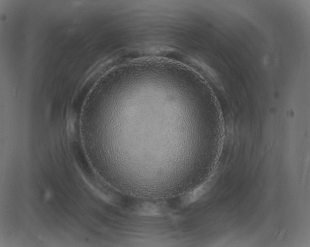 X0000081320166200701111342
