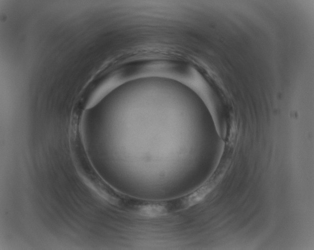 X0000081320168200701111342