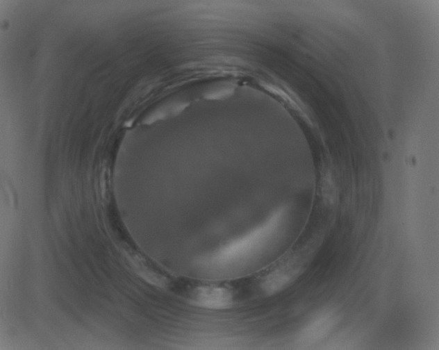 X0000081320169200701111342