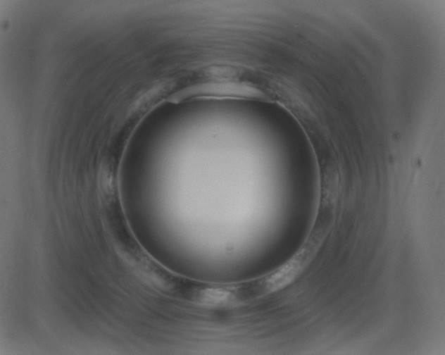 X0000081320176200701111343