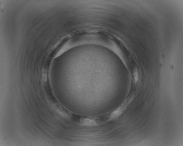 X0000081320180200701111343