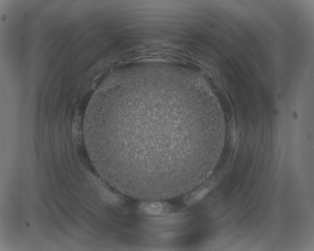 X0000081320181200701111343