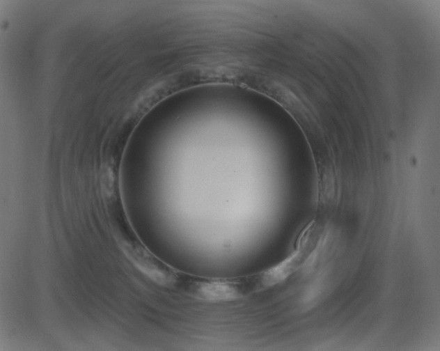 X0000081320183200701111343