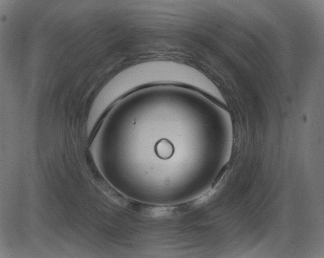 X0000081320184200701111343