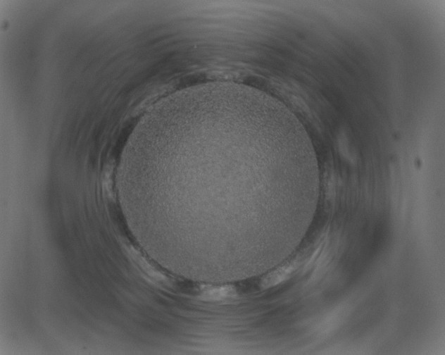 X0000081320185200701111343