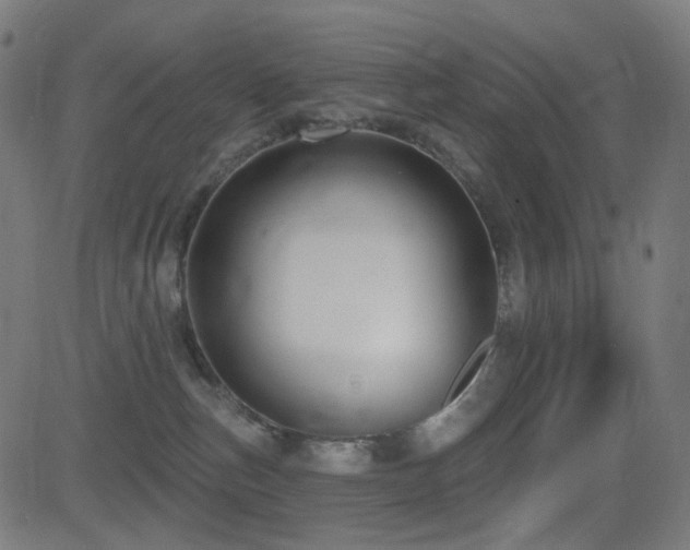 X0000081320187200701111343