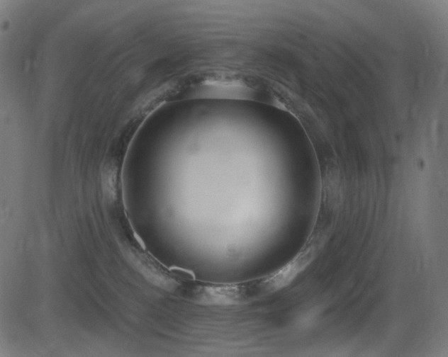 X0000081320188200701111343