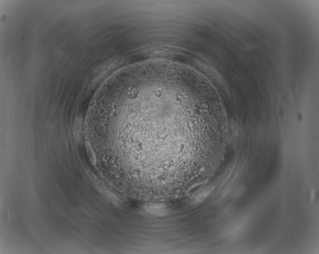 X0000081320189200701111343
