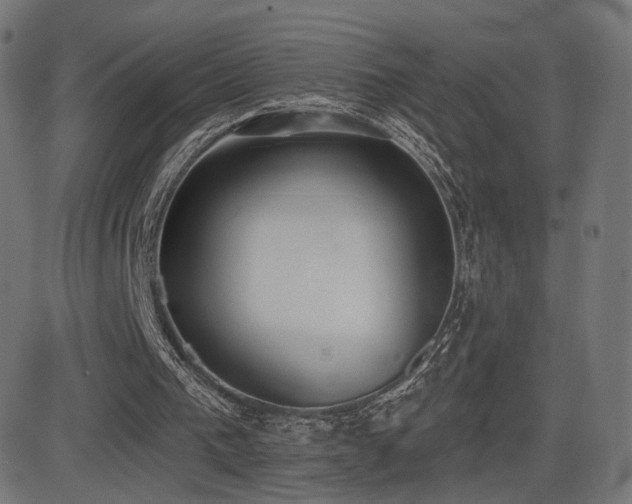 X0000081320193200701111342