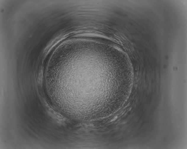 X0000081320194200701111342
