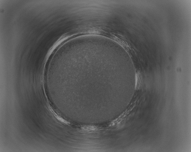 X0000081320195200701111342