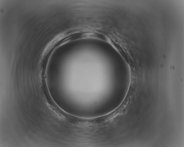 X0000081320197200701111342