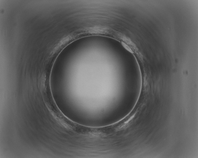 X0000081320201200701111342