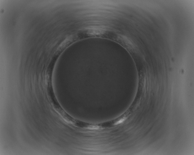 X0000081320227200701111341