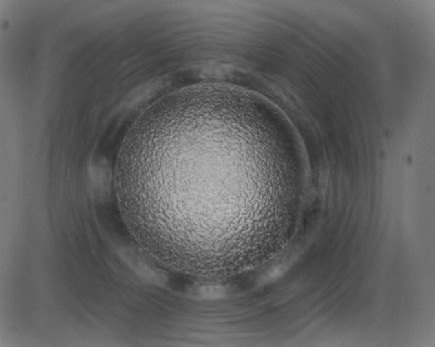 X0000081320228200701111341
